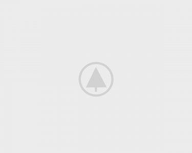 wood-gallery-placeholder-2 wood-gallery-placeholder-2