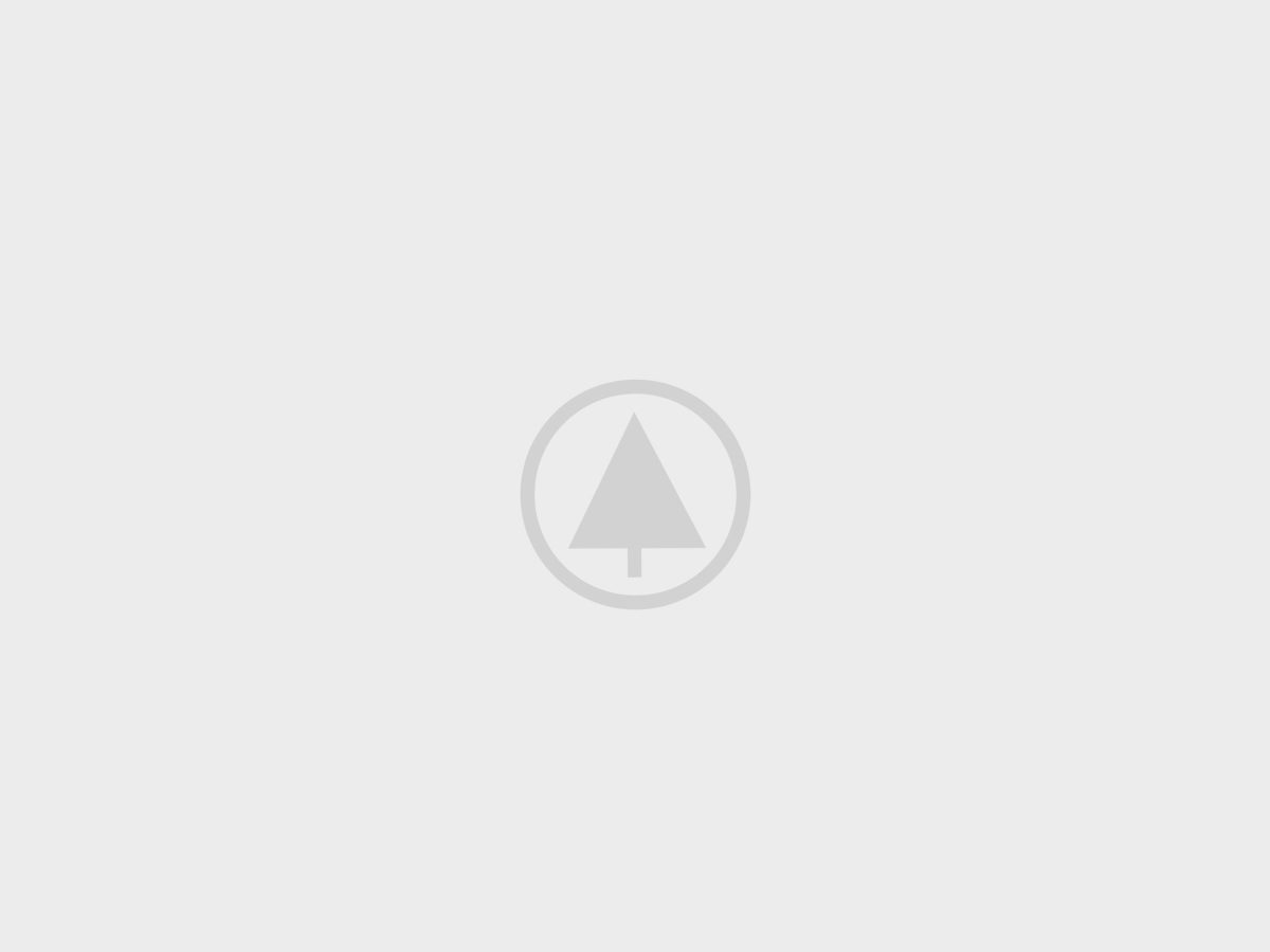 wood-gallery-placeholder-3 wood-gallery-placeholder-3